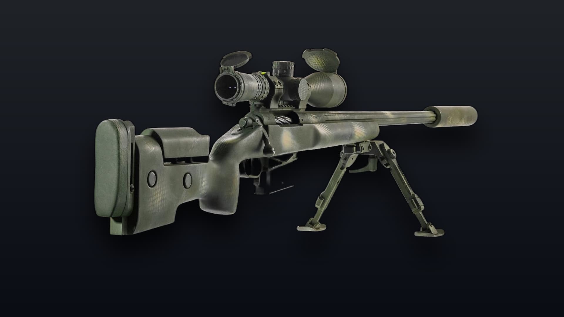 DTS M1SA1 (223 REM)